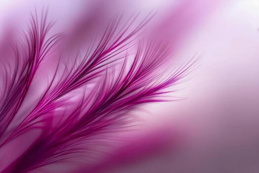 Close-up of delicate purple feather strands softly illuminated with a gentle gradient background creating an ethereal and calming visual effect photo