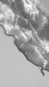 Crispy cooked bacon slice macro detail showing texture and rendered fat in grayscale photo
