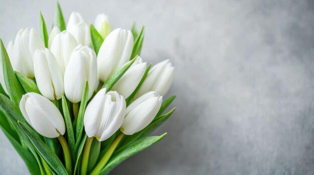hermosa blanco tulipanes arreglado esmeradamente en un gris antecedentes foto
