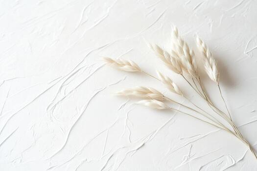 Soft white dried flowers on light textured background in serene setting photo