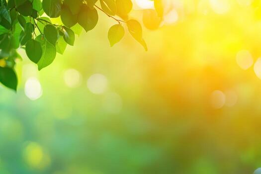 Bright sunlight filters through green leaves in a tranquil natural setting photo