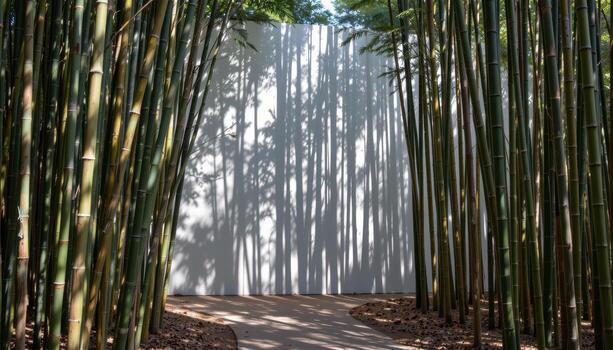 shadows stretch between bamboo trunks, weaving shifting patterns along the forest pathway. photo