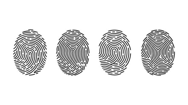 Four Black Fingerprint Icons with Different Swirl Patterns on White Background thumbprint biometric vector