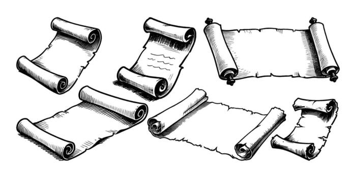 Collection of old parchment scrolls with curled edges, hand-drawn ink sketch style on white background, concept of history or storytelling vector