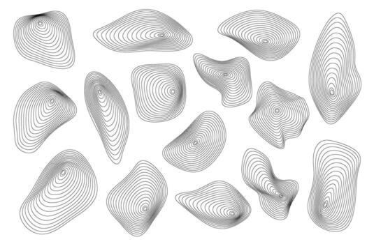 Topographic shapes with pattern of wavy concentric lines. Organic circular ripple lines on white background. Geometric contour fluid relief elements. vector