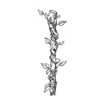 Nature inspired design of a tree branch with twisting vines and leaves vector