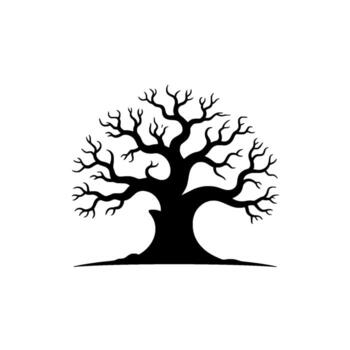 A stark silhouette of a majestic ancient deciduous tree with a thick trunk and a wide canopy of bare gnarled branches against a soft off background vector