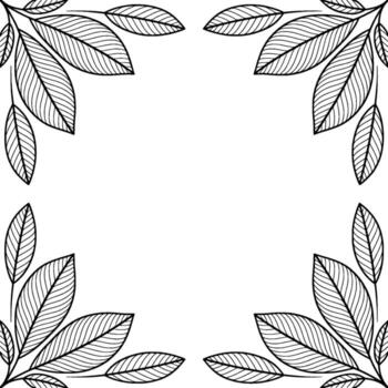A delicate and symmetrical line art border featuring clusters of elongated leaves with intricate vein details arranged in the four corners on a clean background vector