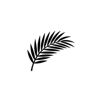 A simple silhouette of a delicate palm frond leaf with pointed leaflets against a clean subtle grey background perfect for minimalist vector