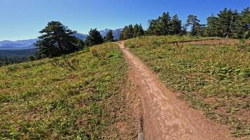 Scenic mountain trail transitions through lush greenery and open sky in a continuous motion sequence video