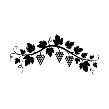 elegante silueta de un curvo uva vino con Tres racimos de uvas y numeroso detallado hojas en un limpiar antecedentes vector