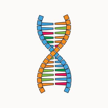 Understanding the Double Helix Structure of Deoxyribonucleic Acid A Visual Representation of Genetic Material vector