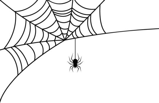 A spider hangs from its web, which is attached to a corner, isolated against a white background. vector