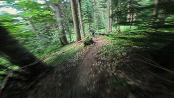 berg cyklist navigerande en lindning spår genom frodig skog med dynamisk rörelse sekvens video