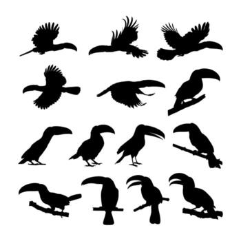 toucan silhouette collection showing various poses and positions vector