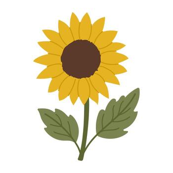A yellow sunflower with a green leaf. The flower is the main focus of the image, and the leaf is a secondary element. The image has a bright and cheerful mood vector