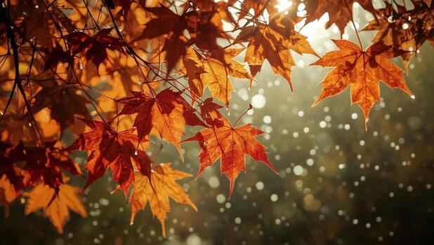 Close-up of vibrant autumn leaves with sunlight shining through, enhanced by bokeh background, creating a beautiful and serene fall atmosphere. photo
