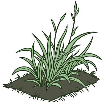 Patch of fresh green lawn grass cut out placed on white or transparent background vector