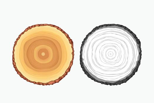 tree slice realistic design on white back vector