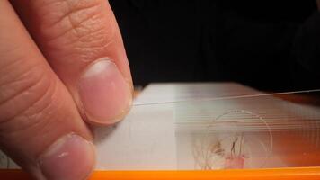 forskare hand sökande mikroskop diabilder i laboratorium video