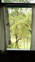 en fönster med gardiner som visar en se av träd video