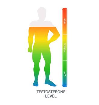 Measuring testosterone level in male body using gradient scale from low to high vector