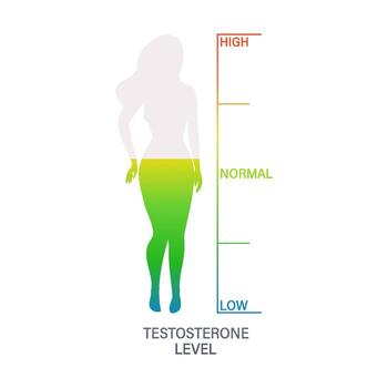 Female silhouette showing testosterone level with gradient from low to high vector