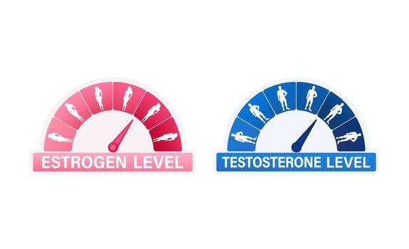 Indicator is showing estrogen and testosterone level increasing and decreasing vector
