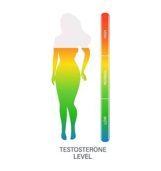 Female silhouette representing testosterone level measuring with colored bar from low to high vector