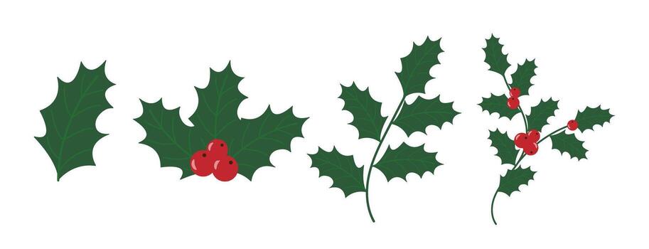 Holly Leaves, Branch and Red Berry set isolated on Transparent background. Christmas Element in Simple Flat Style. Illustration Icon, Mistletoe and Leaf, Red Ilex Branch. Xmas Botanical Plant. vector