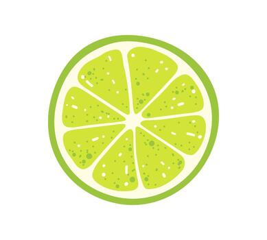 Fresh lime circle slice isolated on white background. in flat style vector