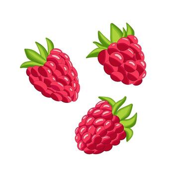 A red raspberry with a green leaf on top. The raspberry is shown in a cartoon style. The image is of a close up of a raspberry vector
