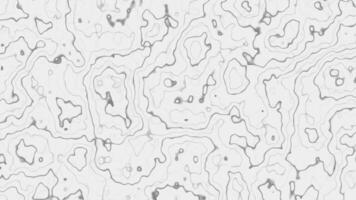 Abstract Contour Background for Animation and Design Projects in Neutral Tones video