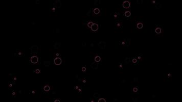 piatto animato sfondo di rosa bolle galleggiante su un' buio superficie per design progetti video