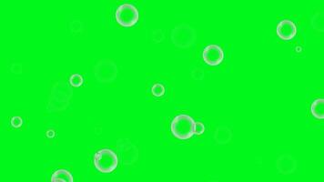 realistico animazione di bolle galleggiante su luminosa verde sfondo per visivo progetti video