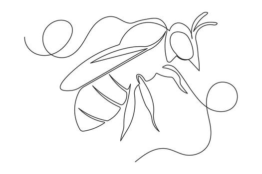 Isolated bee continuous single line minimalist drawing outline simple illustration vector