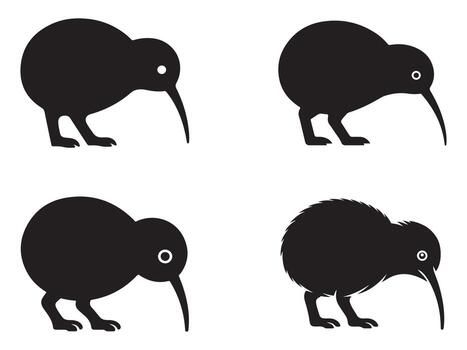 four kiwi birds in different on a white background vector