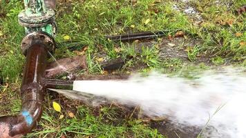 An open water pipe in the forest, watering trees, a hydrant and a water valve. A pipe with water coming out of it. The pipe is green and rusty video