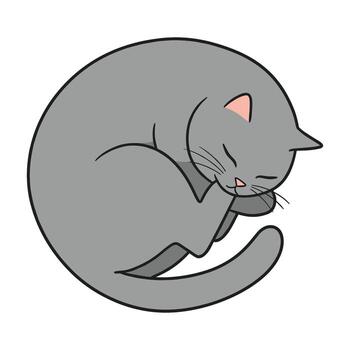 Illustration of a sleeping gray cat in a circular pose vector