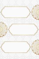 golden islamisch Mandala Animation mit Weiß Hintergrund video