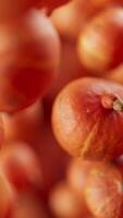 Animation of a group of pumpkins. Many pumpkins slowly rotate in the background in space. Vertical composition. Defocus. Close up. video