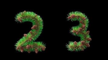3d animering av tal 2 och 3 tillverkad med tall nålar och kottar. transparent bakgrund, perfekt för jul hälsning videoklipp, ny år nedräkningar, och festlig projekt. video