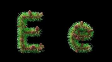 3d animazione di maiuscolo e minuscolo lettera e creato a partire dal pino aghi con coni, alfa canale. unico decorativo font per a tema ecologico progetti, nuovo anno grafica e inverno stile design. video