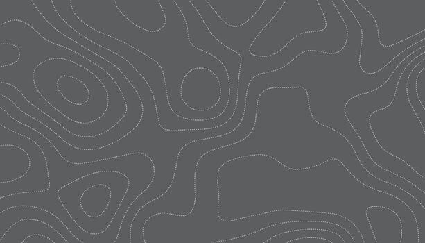 Abstract Topographic Contour Line Pattern Background vector