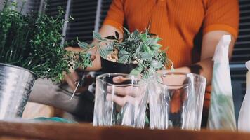 uma pessoa é segurando uma plantar dentro uma vidro video