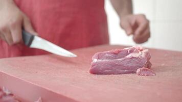 dominar el Arte de carne corte con sencillo tecnicas video