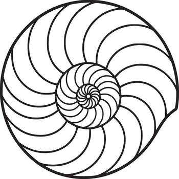 Nautilus shell spiral pattern isolated on white background vector