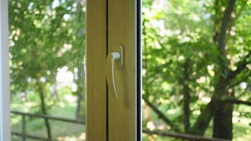 Enjoying a sunny day with open window and greenery video