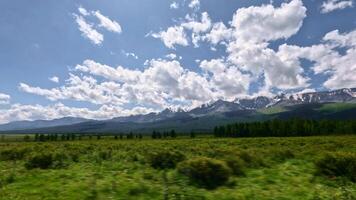 snabb av vägen körning. se från de sida fönster. vi är körning genom en grön fält med en gles skog i de bakgrund och snötäckt bergen i de distans. video