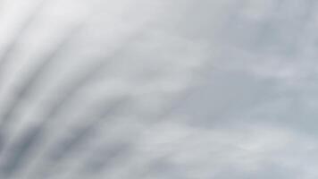 Soft Steel Gradient Ethereal movement of light and shadow creates a calming and abstract visual experience video